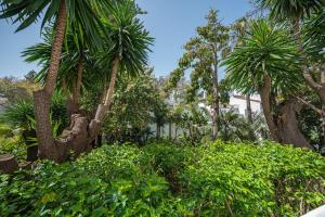 A garden outside Puente Romano Hotel Apartment Marbella