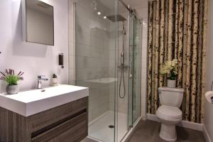 un bagno con doccia, WC e lavandino di Detente Nature bord de Lac #2 Spa Sauna & Foyer a Sainte Brigitte de Laval