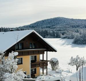 a building covered in snow with trees and a field at Ferienwohnungen Holzferienhäuser Leithenwald in Zwiesel
