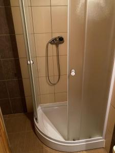 a shower with a glass door in a bathroom at Gallys Mounting Cottage Pod Boubinem in Lenora +14 photos