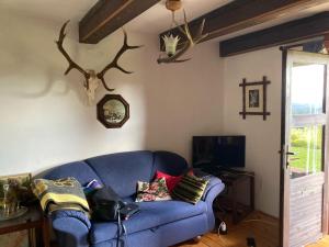 a living room with a blue couch and a tv at Gallys Mounting Cottage Pod Boubinem in Lenora