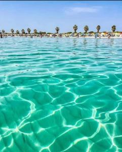 a large body of water with a beach with umbrellas at Casa Diana P3115 in Riola Sardo