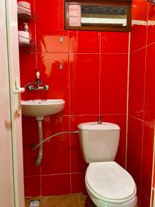 a red bathroom with a toilet and a sink at SOPHIE GuestHouse in Grigoleti +63 photos