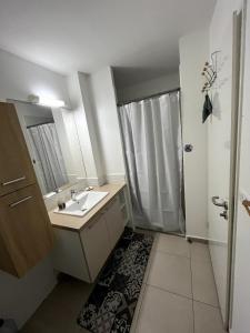 un baño con lavabo y ducha en appartement T2 Soléia Zen, en Le Gosier