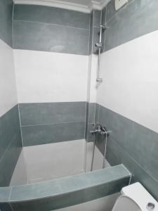 a bathroom with a shower and a toilet at Arbinovo Lodge in Ohrid +36 photos