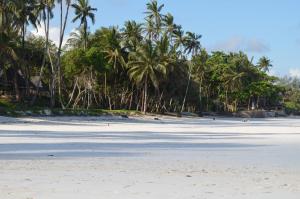 a beach with palm trees in the distance at Galu Inn in Diani Beach