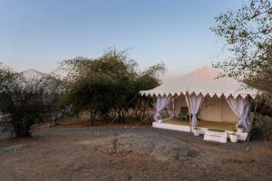 Příroda nedaleko luxury tent