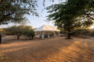 Příroda nedaleko luxury tent