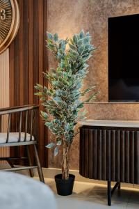 Et tv og/eller underholdning på The Snug Studio By BlueCloud Holidays