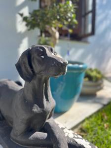Et eller flere kæledyr der bor med gæster på Helder Haven Cottage