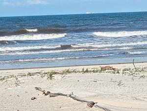 un ramo sulla spiaggia con l'oceano di Suítes a beira Mar a Canavieiras