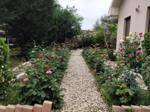 Zahrada ubytování Roses Villa
