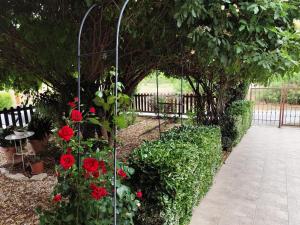 Zahrada ubytování Roses Villa