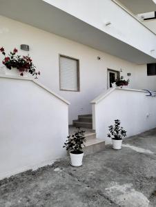 two potted plants on the side of a white building at Casa dei gerani in Montegiordano