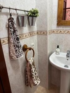 a bathroom with a sink and a towel at La terraza de Los Picos de Europa in Potes