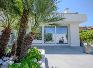 Zahrada ubytování Villa Rosa del mare - Elegante villa fronte mare con Jacuzzi e giardino privato