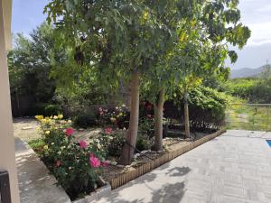 Zahrada ubytování Roses Villa