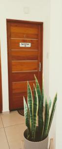 una planta en una olla delante de una puerta en Apart del Centro 03, en Santa Fe