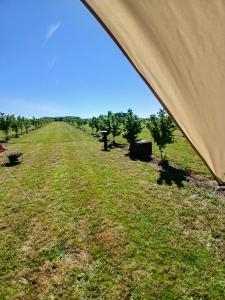 Zahrada ubytování Glamping au verger de la Marsale