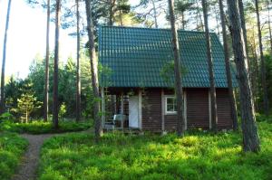 a log cabin in the woods with a green roof at Roosi Camping Houses in Rannaküla