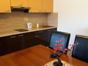 Kuchyň nebo kuchyňský kout v ubytování APARTMÁN SLAVKOV home & parking