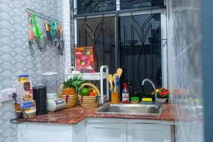 姆贝亚Selous的厨房柜台上有一个水槽和各种物品