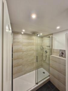 a shower with a glass door in a bathroom at Altstadtblick in Heidelberg +51 photos