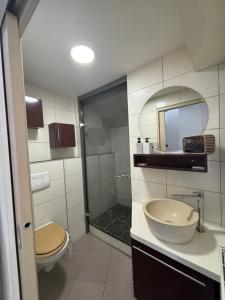 a bathroom with a sink and a toilet and a mirror at Le Coeur Champêtre in Oberhoffen-sur-Moder
