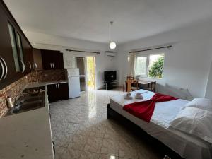 Kuchyň nebo kuchyňský kout v ubytování Villa Andres