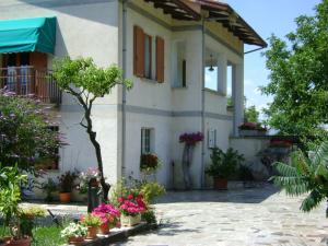 Zahrada ubytování B&B La Mimosa