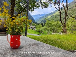 a red vase with flowers in it sitting on a table at Rustico Cascina Val Malvaglia in Malvaglia