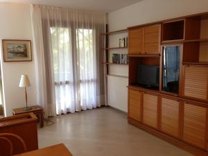 Televízia a/alebo spoločenská miestnosť v ubytovaní apartment Zagara - Gardone Riviera center