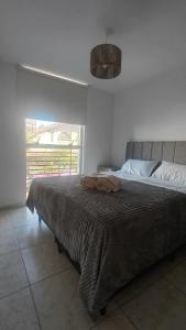 ein Schlafzimmer mit einem großen Bett mit einem großen Fenster in der Unterkunft Anicca Alberdi Córdoba Centro in Cordoba
