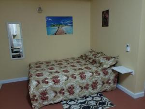 Postel nebo postele na pokoji v ubytování Careffe Suites St Lucia