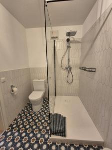 a bathroom with a shower and a toilet at Ferienwohnung am See "Stella" in Bad Zwischenahn