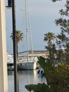 Un velero atracado en un puerto deportivo con palmeras. en Beverflor des mers, en Sitges 2 fotos más