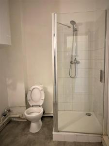 a bathroom with a toilet and a shower at Appartement double dans le centre in Limoges