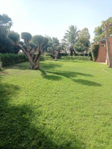 a field of green grass with trees in the background at Palmeraie Village 2 in Marrakesh