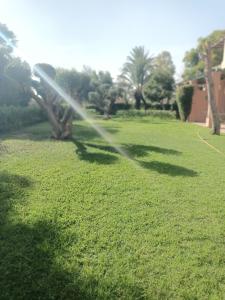 a sprinkler watering a lawn in a yard at Palmeraie Village 2 in Marrakesh +1 photo