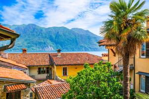 a city with a palm tree and a mountain at La Palma in Ghiffa