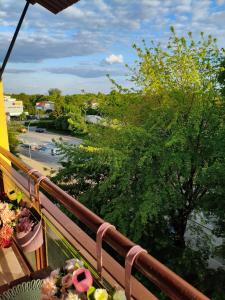 a balcony with a view of a river and trees at Apartament Królewskie Pawie in Sandomierz