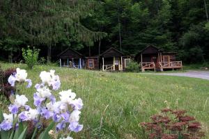 Zahrada ubytování Rustic Couples' Cabin for Idyllic Catskills Getaway, Upstate New York