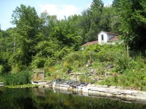 Příroda nedaleko prázdninového domu + 12 fotografií