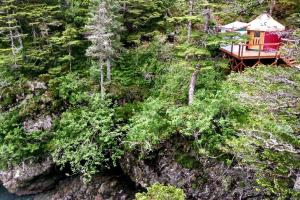 une vue aérienne sur une cabine dans la forêt dans l'établissement Original Yurt with Complimentary Sea Kayaks for a Unique Getaway in Seward, Alaska, à Seward