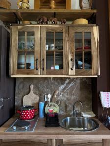 a kitchen counter with a sink and wooden cabinets at Apartman DAR Bošković Studio in Zagorak