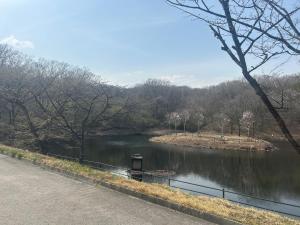 度假屋周边自然景观