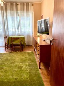 ピエーヴェ・ディ・カドーレにあるCozy flat Pieve di Cadoreのテレビ付きの机と緑のラグが敷かれたテーブルのある部屋