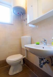 une salle de bains avec toilettes et lavabo dans l'établissement Apartment Bursic, à Pula