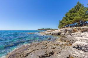 un rivage rocheux avec des arbres et l'océan dans l'établissement Apartment Bursic, à Pula