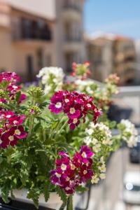 Foto dalla galleria di B&B S'Unda Jara ad Alghero
